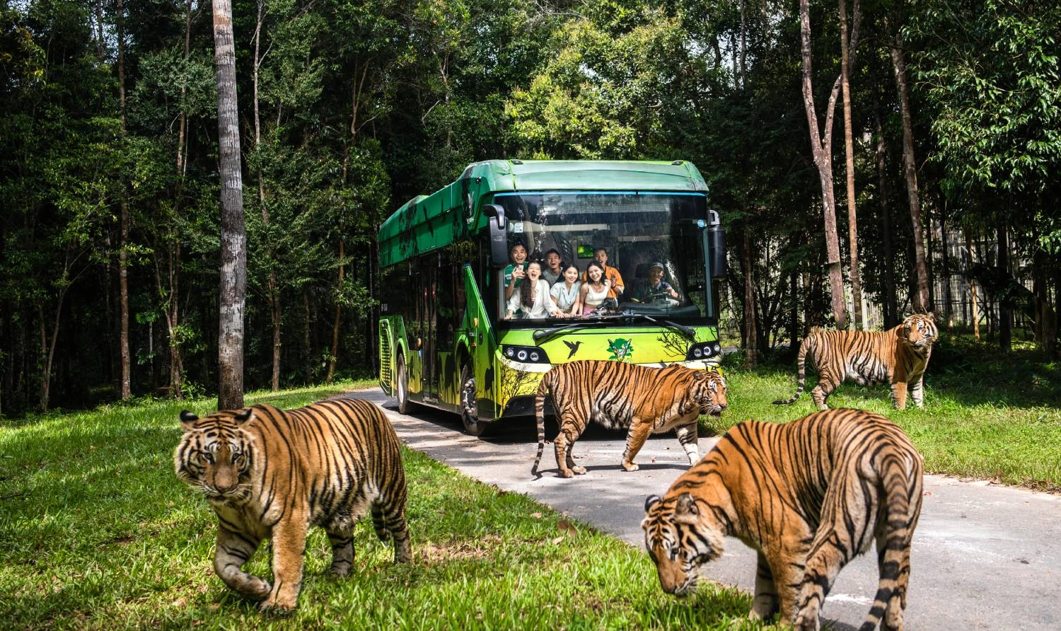 A Journey Through Vietnam & Island Life – 12 Days
